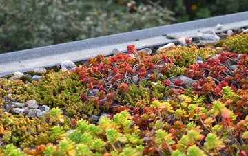 the cost of Tarskavaig green roof installation