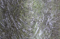 Tarskavaig fibreglass roof work